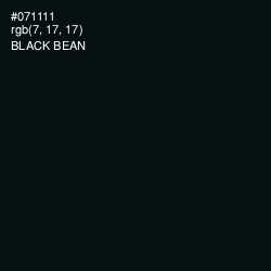 #071111 - Black Bean Color Image
